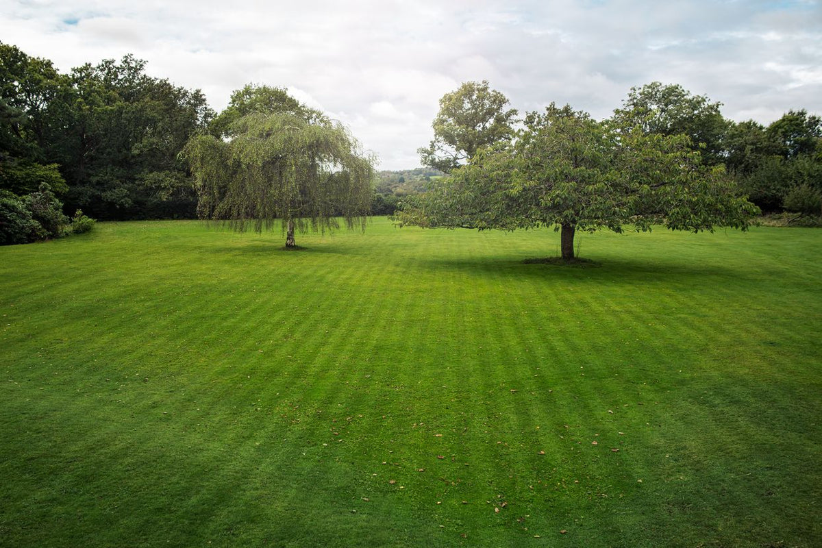 Striped lawn created by Automower